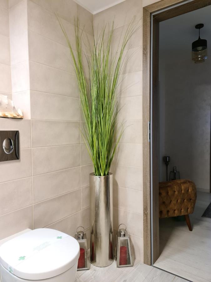 Apartment Alonisos Lux Braşov Esterno foto