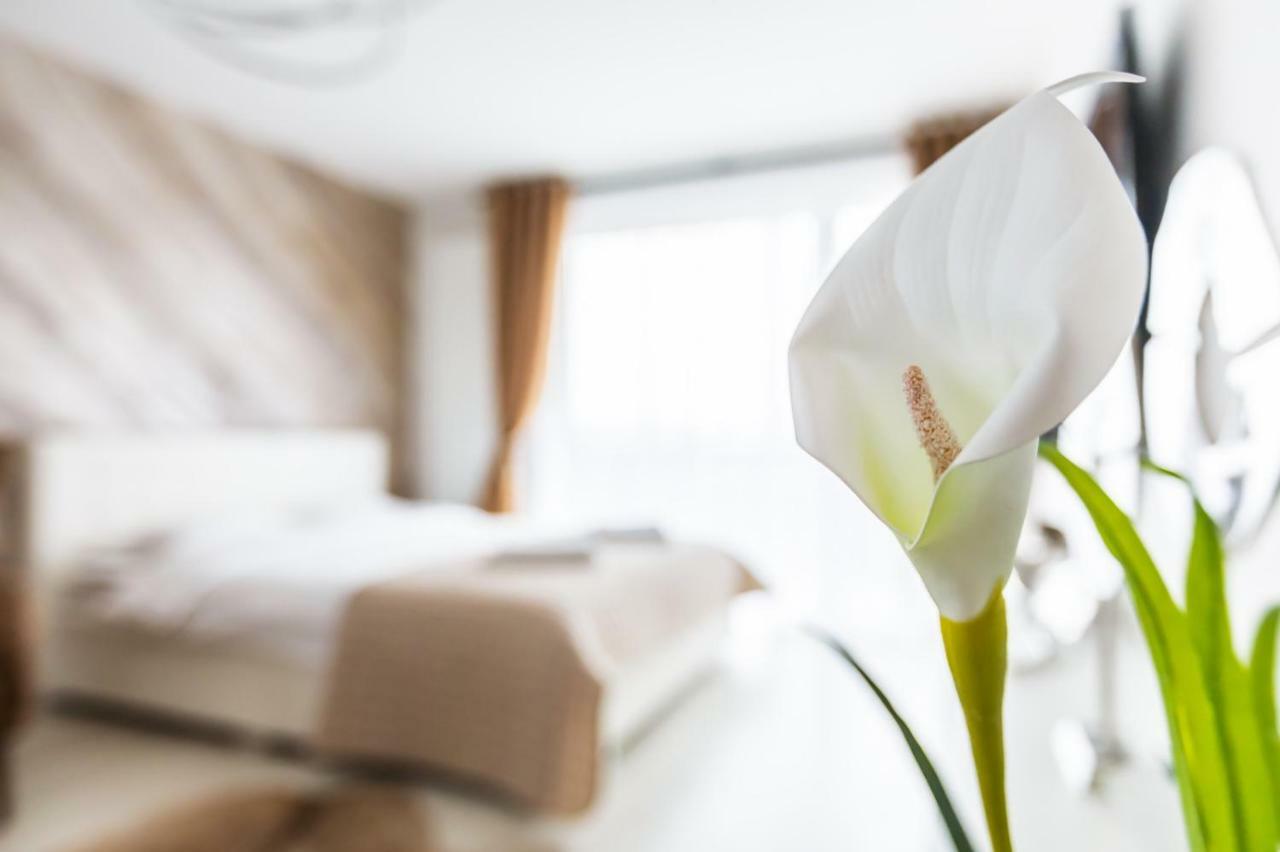 Apartment Alonisos Lux Braşov Esterno foto